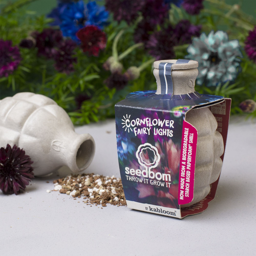 Kabloom-Seedbomb | Cornflower Fairy Lights Bom