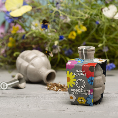 Kabloom-Seedbomb | Urban Bloomer Bom