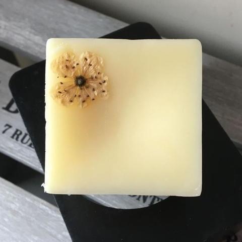 Bain & Savon-Conditioner Bar for Dry Hair - The Cruelty Free Beauty Box